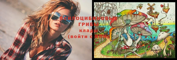 трава Кукмор