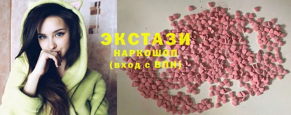 индика Тихвин